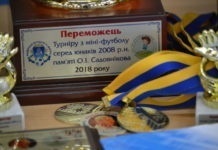 Итоги турнира по мини-футболу памяти А. И. Садовникова 2018 г.